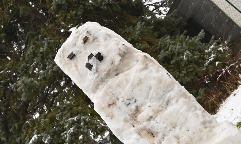 Abdrücke im Schnee